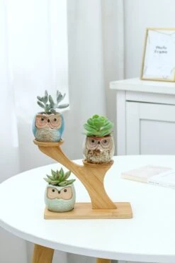 Luxe Bamboe Houten Boom Met 3 Keramiek Uil Bloempotten/Plantenpotten Op Standaard/Voet Voor Binnen En Buiten - Modern Design Bloempot/Plantenpot Op Poten/Pootjes-Plantenbak Mini Cactus Nep Plant Pot Houder - Kleine Bloembakken Plantenrek/Plantenkurk -Tuinhuis Shop 800x1200 35