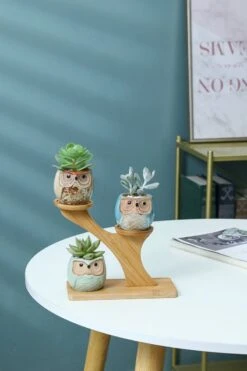 Luxe Bamboe Houten Boom Met 3 Keramiek Uil Bloempotten/Plantenpotten Op Standaard/Voet Voor Binnen En Buiten - Modern Design Bloempot/Plantenpot Op Poten/Pootjes-Plantenbak Mini Cactus Nep Plant Pot Houder - Kleine Bloembakken Plantenrek/Plantenkurk -Tuinhuis Shop 800x1200 36