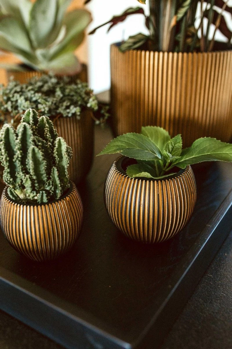 Capi Europe - Vaas Bol Groove XL - 39x33 - Goud - Bloempot Voor Binnen - Opening ⌀24 - GVGB270 3 Capi Europe - Vaas Bol Groove XL - 39x33 - Goud - Bloempot Voor Binnen - Opening ⌀24 - GVGB270 - Afbeelding 3