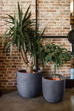 Capi Europe - Bloempot Bol Rib NL - 43x41 - Antraciet - Voor Binnen En Buiten - KOFZ933 17 Capi Europe - Bloempot Bol Rib NL - 43x41 - Antraciet - Voor Binnen En Buiten - KOFZ933 -Tuinhuis Shop 800x1200 39