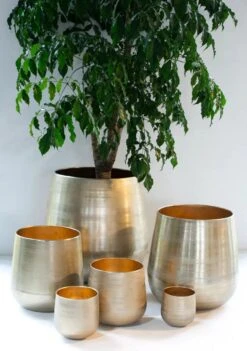 Merkloos Karakter Pot Alu Neo Gold ø40x40cm 6 Merkloos Karakter Pot Alu Neo Gold ø40x40cm -Tuinhuis Shop 844x1200