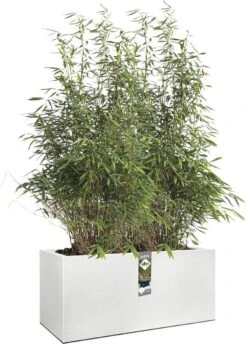 Elho Vivo Structure Finish Lang 90 - Plantenbak Voor Binnen & Buiten - Ø 88 X H 41 - Wit -Tuinhuis Shop 862x1200 2