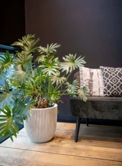 Capi Europe - Vaas Elegant Laag Groove NL - 46x58 - Goud - Voor Binnen En Buiten - KGVGB783 12 Capi Europe - Vaas Elegant Laag Groove NL - 46x58 - Goud - Voor Binnen En Buiten - KGVGB783 -Tuinhuis Shop 883x1200 2