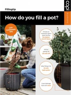 Capi Europe - Bloempot Vierkant Smooth NL - 50x50x50 - Zwart - Voor Binnen En Buiten - KBL904 -Tuinhuis Shop 892x1200 1