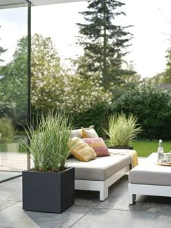 Elho Vivo Next Vierkant 40 - Plantenbak Voor Binnen & Buiten - Ø 39.0 X H 37.9 Cm - Zwart/Living Black -Tuinhuis Shop 900x1200 1