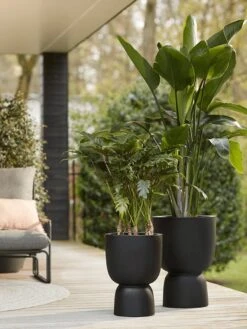 Elho Pure Coupe 41 - Bloempot Voor Binnen & Buiten - Ø 41.3 X H 57.9 Cm - Zwart/Zwart 24 Elho Pure Coupe 41 - Bloempot Voor Binnen & Buiten - Ø 41.3 X H 57.9 Cm - Zwart/Zwart -Tuinhuis Shop 900x1200 4