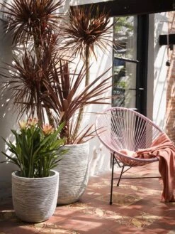 Capi Europe - Bloempot Bol Rib NL - 43x41 - Antraciet - Voor Binnen En Buiten - KOFZ933 15 Capi Europe - Bloempot Bol Rib NL - 43x41 - Antraciet - Voor Binnen En Buiten - KOFZ933 -Tuinhuis Shop 900x1200 6