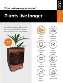 Capi Europe - Bloempot Vierkant Smooth NL - 50x50x50 - Zwart - Voor Binnen En Buiten - KBL904 -Tuinhuis Shop 916x1200 2