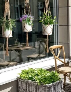 4 Stuks Luxe Jute Plantenhangers - Boho Handgeweven Katoen Hangpot Voor Binnen/Buiten - Hangende Bloempot Met Kralen - Macramé Touw/Koord Hangplant Houder - Bohemian Wandhanger Decoratie - Plant Hanger - Verticale Tuin Bloempothouder Planthanger 10 4 Stuks Luxe Jute Plantenhangers - Boho Handgeweven Katoen Hangpot Voor Binnen/Buiten - Hangende Bloempot Met Kralen - Macramé Touw/Koord Hangplant Houder - Bohemian Wandhanger Decoratie - Plant Hanger - Verticale Tuin Bloempothouder Planthanger -Tuinhuis Shop 923x1200 2