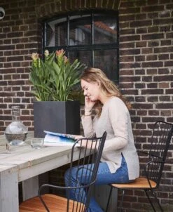 Capi Europe - Bloempot Vierkant Smooth NL - 50x50x50 - Zwart - Voor Binnen En Buiten - KBL904 -Tuinhuis Shop 983x1200